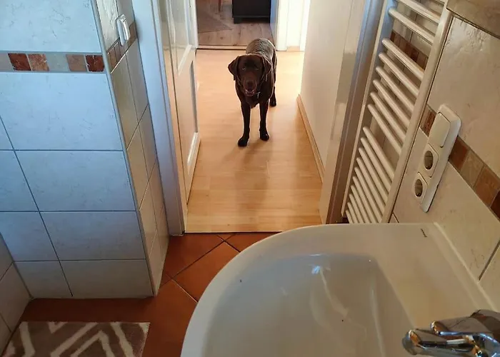 Apartment Gemuetlicher Alpspitzblick Garmisch-Partenkirchen