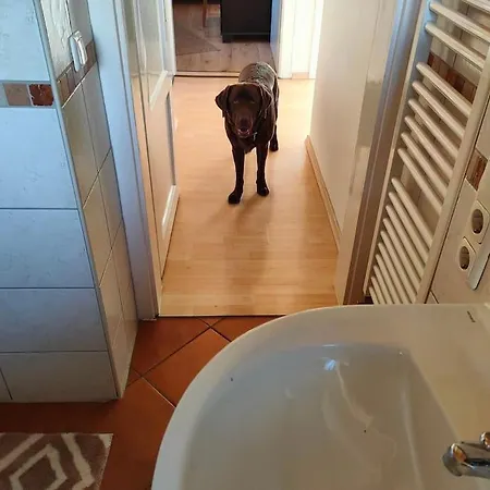 Appartement Gemuetlicher Alpspitzblick Garmisch-Partenkirchen